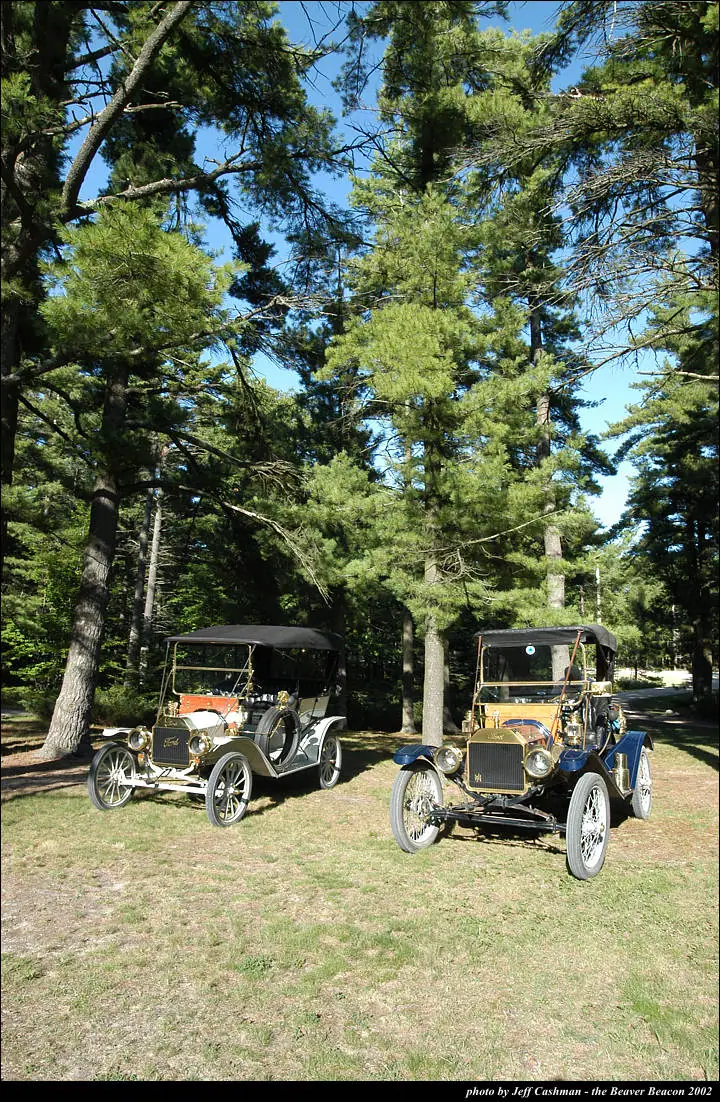 Two vintage open automobiles parked on grass beneath tall pine trees.
