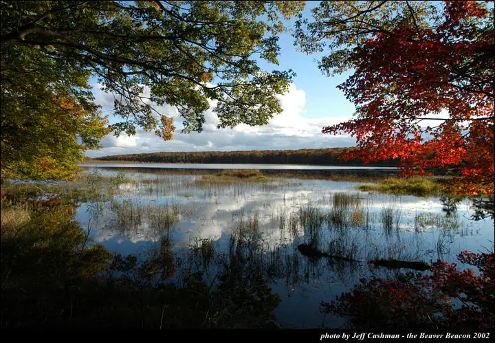 Autumn trees frame calm water, reeds, reflections, and a wooded far shore beneath a partly cloudy sky.