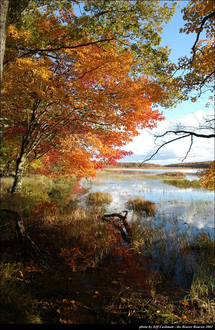 Autumn foliage frames a calm, reflective body of water and grassy shoreline.