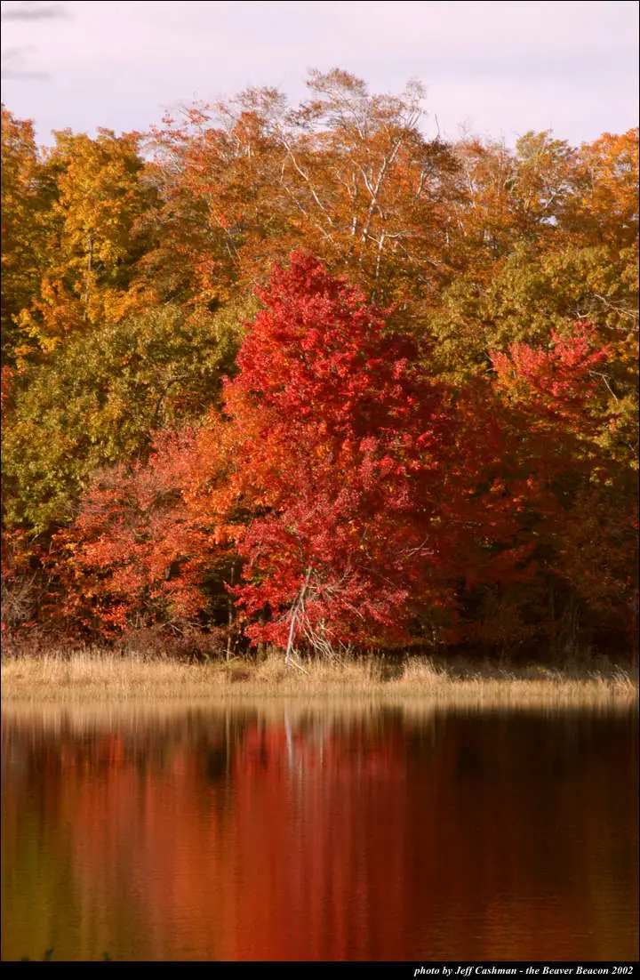Autumn-colored trees line a grassy shore, with vivid red and orange reflections in the calm water.