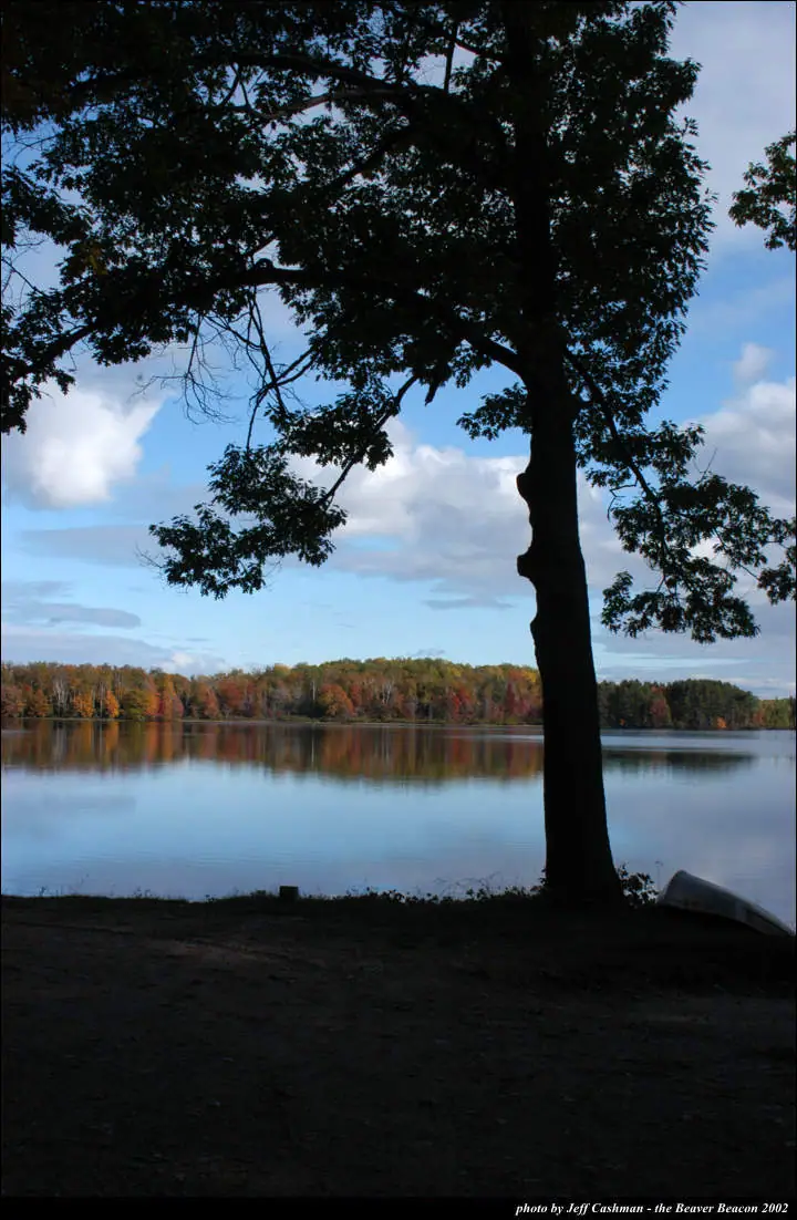 A silhouetted tree frames calm water and a colorful autumn shoreline, with a small boat at the lower right.