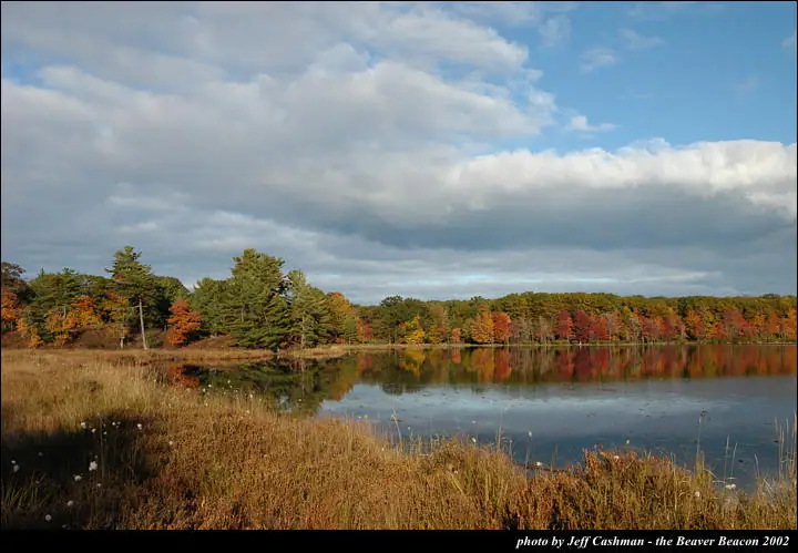 Autumn-colored trees and their reflections line a calm water body beneath a cloud-filled sky.