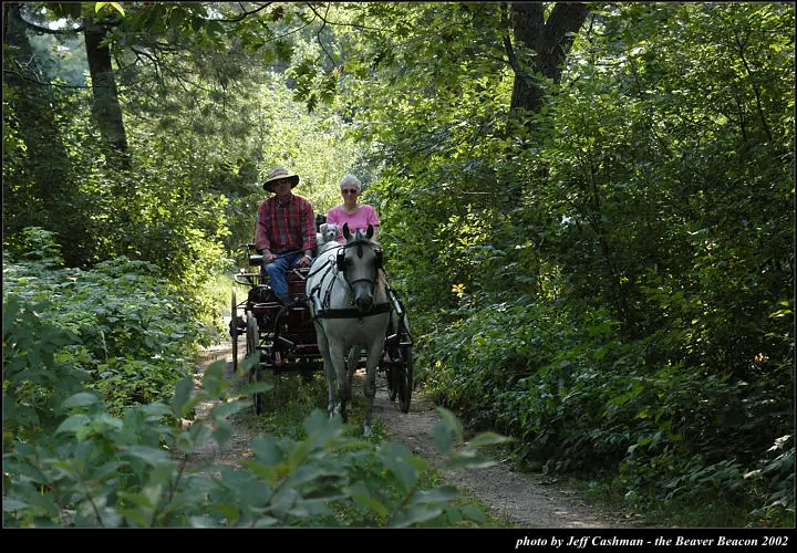 Two adults ride in a horse-drawn buggy along a wooded trail, with a small dog beside them.