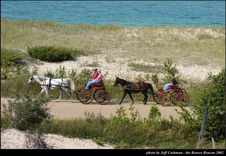 Two horse-drawn carriages travel along a sandy road beside grassy dunes and blue water.
