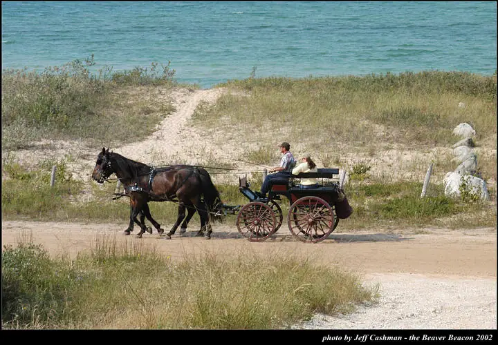 A horse-drawn carriage carrying two people travels along a sandy road beside grassy dunes and blue water.