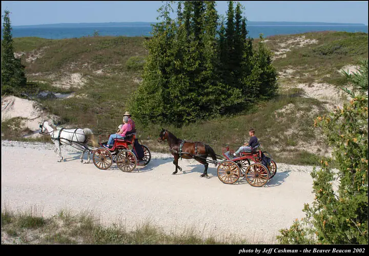 Two horse-drawn buggies travel along a sandy road through dunes beside open water.