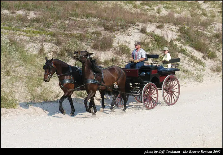 Two horses pull a carriage with two passengers along a sandy road.