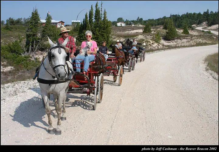 A line of horse-drawn carriages carrying passengers travels along a broad gravel road.