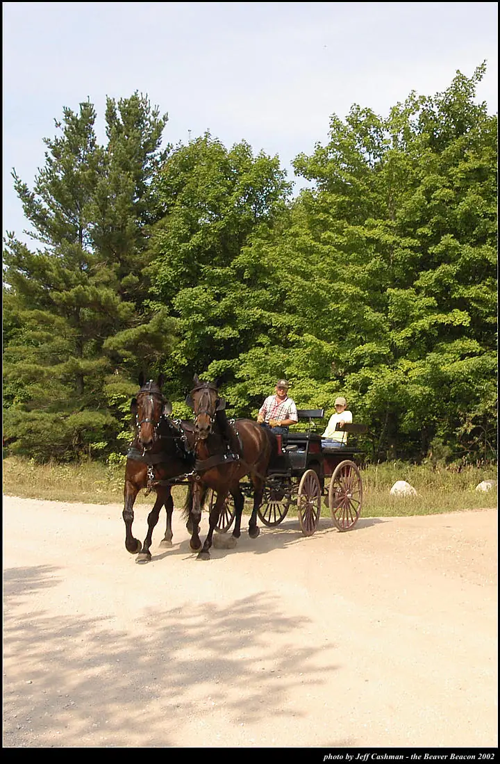 Two horses pull a carriage with two passengers along a sunlit dirt road beside a forest.