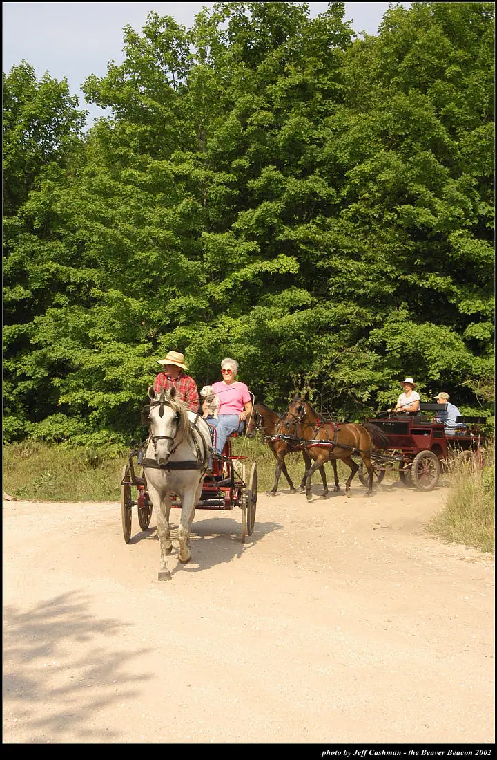Two horse-drawn carriages travel along a dirt road beside dense forest.