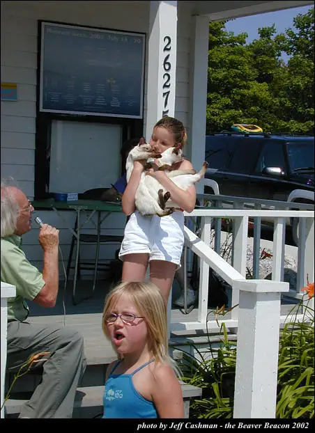 A girl holds a cat on a porch while a seated man uses a microphone and another child stands in the foreground.