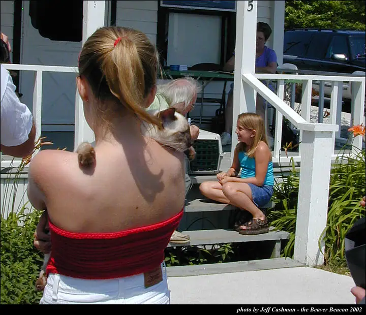 People gather on a porch as a woman holds a Siamese-patterned cat and a child sits on the steps.