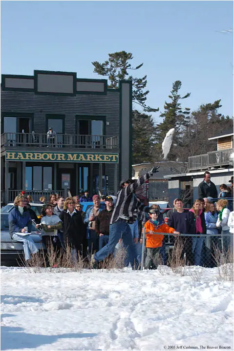 A winter crowd gathers outside a building marked “HARBOUR MARKET” as a person jumps in the snow.