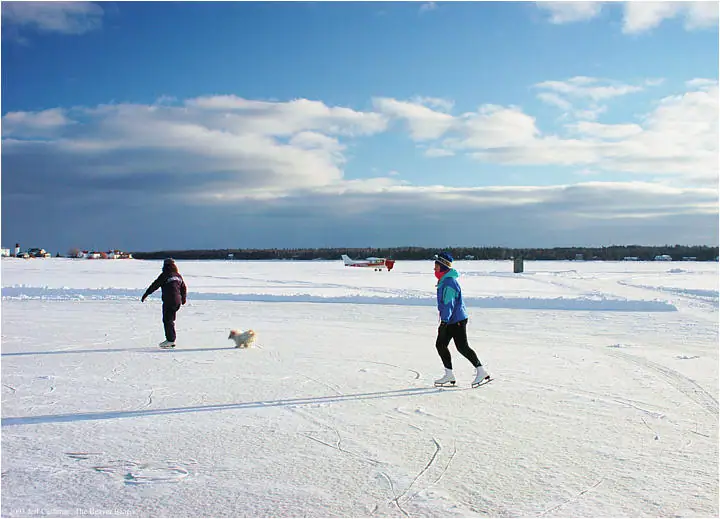 Two people skate across a snow-covered frozen harbor while a small dog runs nearby.