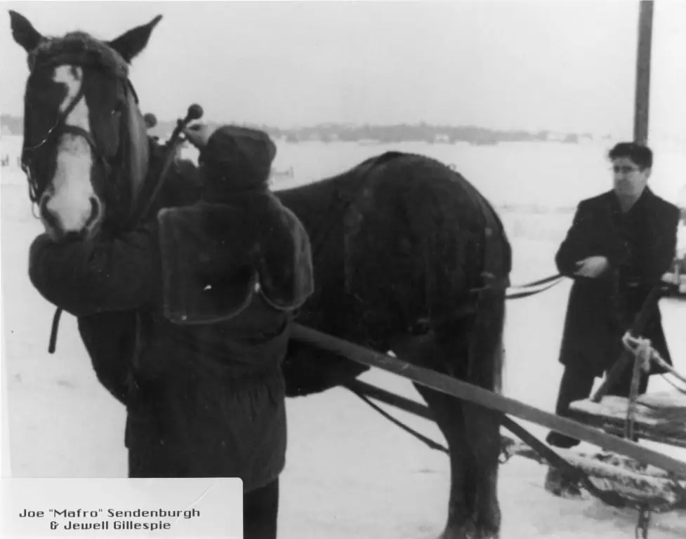 Two people stand with a harnessed horse and wooden sled in a snowy landscape.