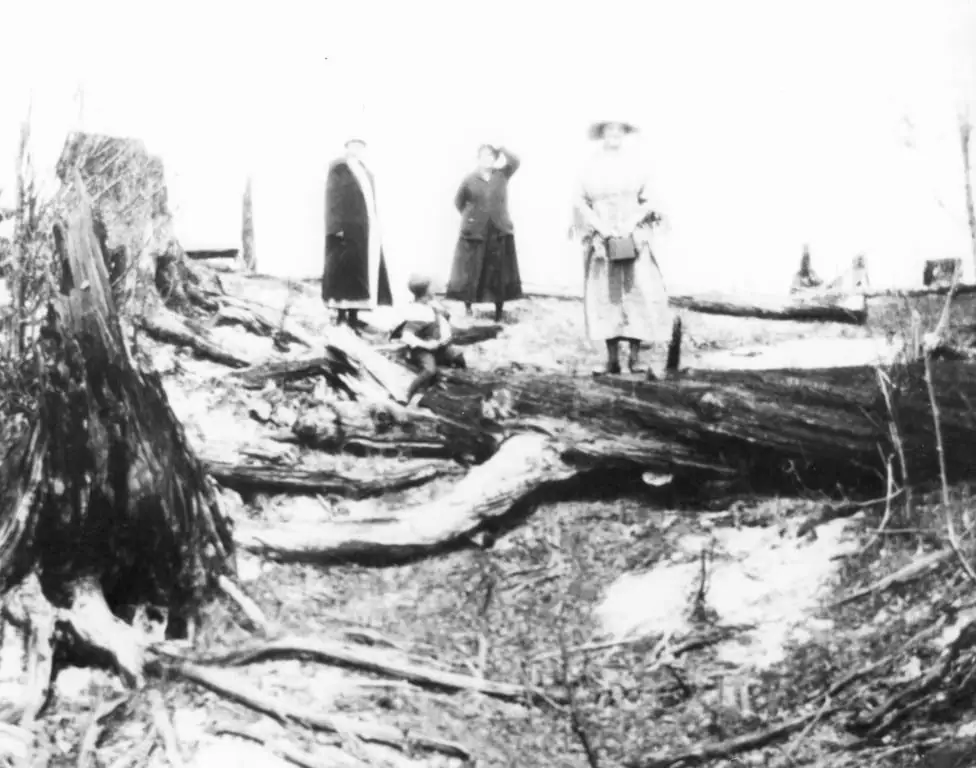 Black-and-white photograph of three adults and a child among fallen trees in a wooded clearing.