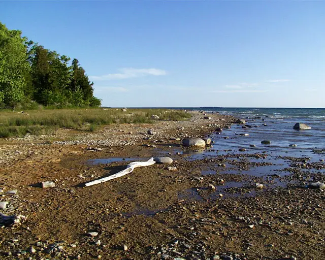 Rocky shoreline with driftwood, shallow water, grasses, and trees beneath a clear blue sky.