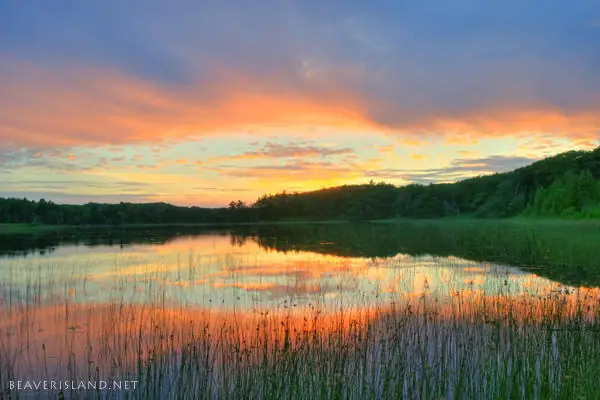 Sunset colors reflect across calm water bordered by marsh grasses and a wooded shoreline.