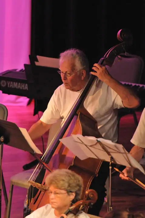 Musicians perform onstage with a double bass, piano, and string instruments.