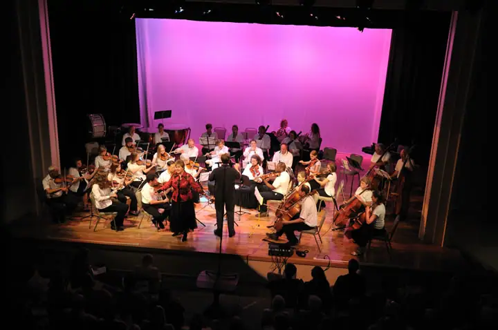 Musicians perform on a stage before an audience, with a conductor and vocalist in front of a pink backdrop.