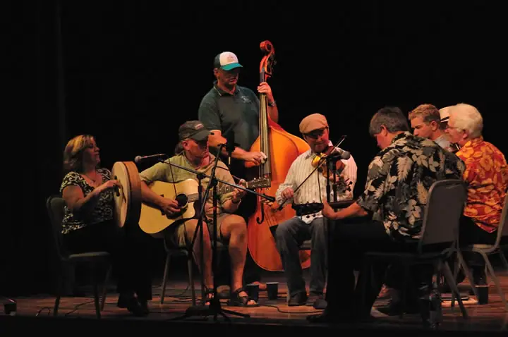 Seven musicians perform on a dimly lit stage with guitars, a frame drum, violin, and upright bass.