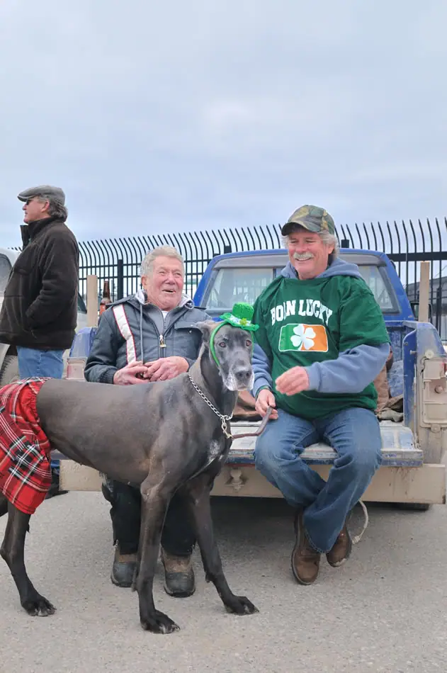 Three men pose with a costumed dog beside a pickup truck.