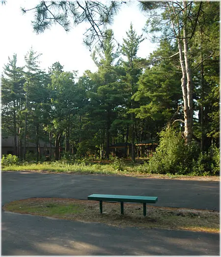 A green bench beside a paved path, with dense coniferous woodland and a partially visible structure behind it.
