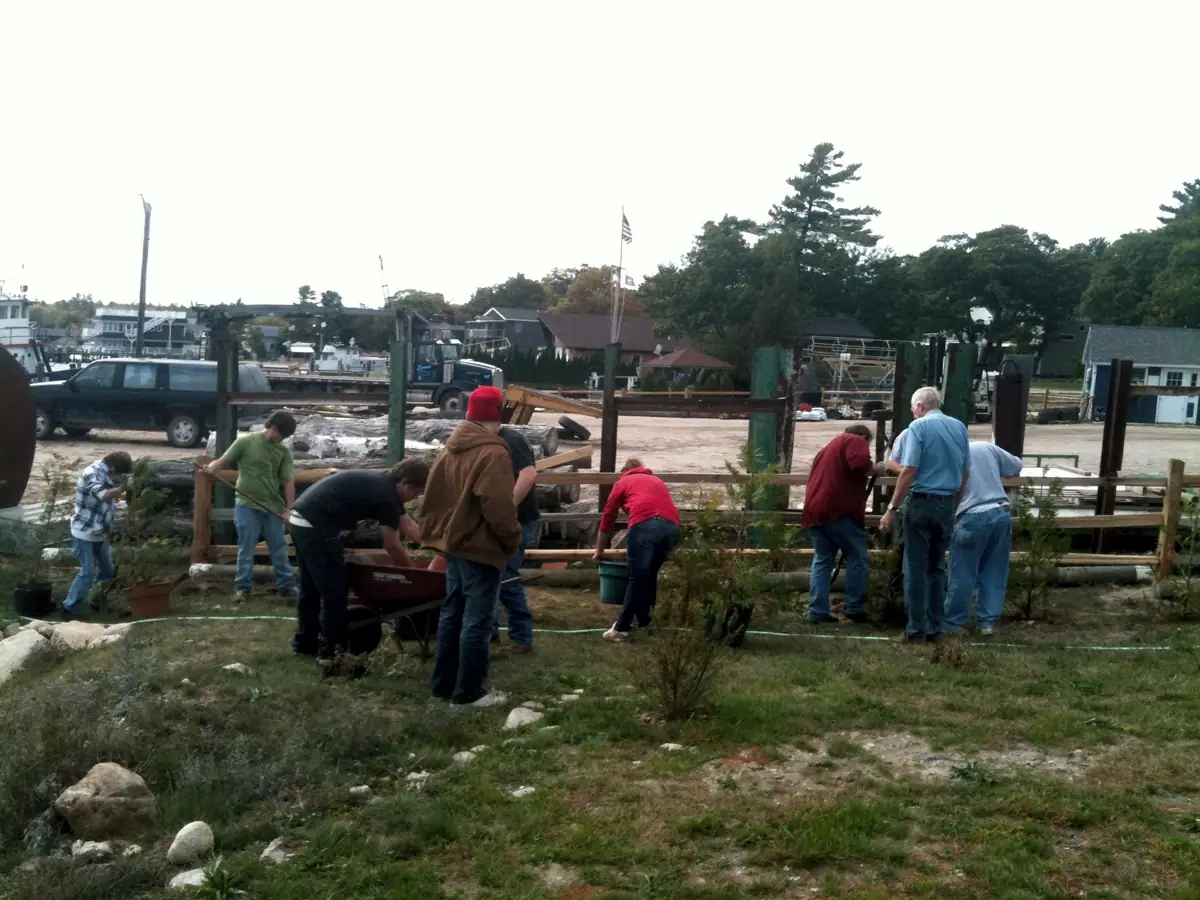 A group of people plant shrubs beside a wooden fence near docks and boats.