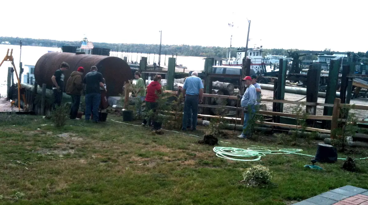 Adults plant small evergreen trees beside a dock, with a rusted tank and boats visible behind them.