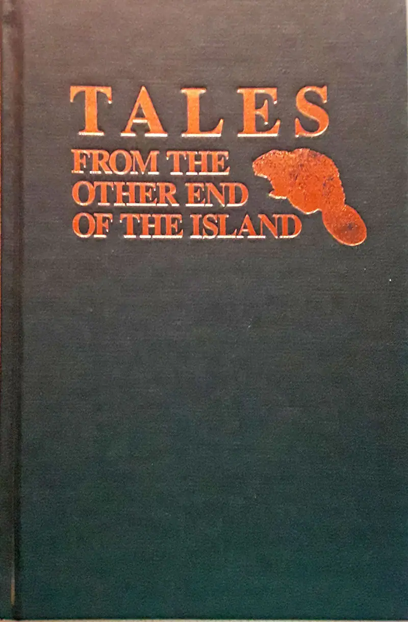 Photograph of a dark book cover with orange title lettering and a small orange textured silhouette.